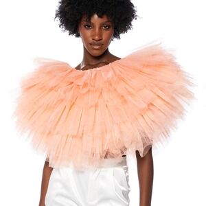 AKIRA Blush Textured Tulle Top
